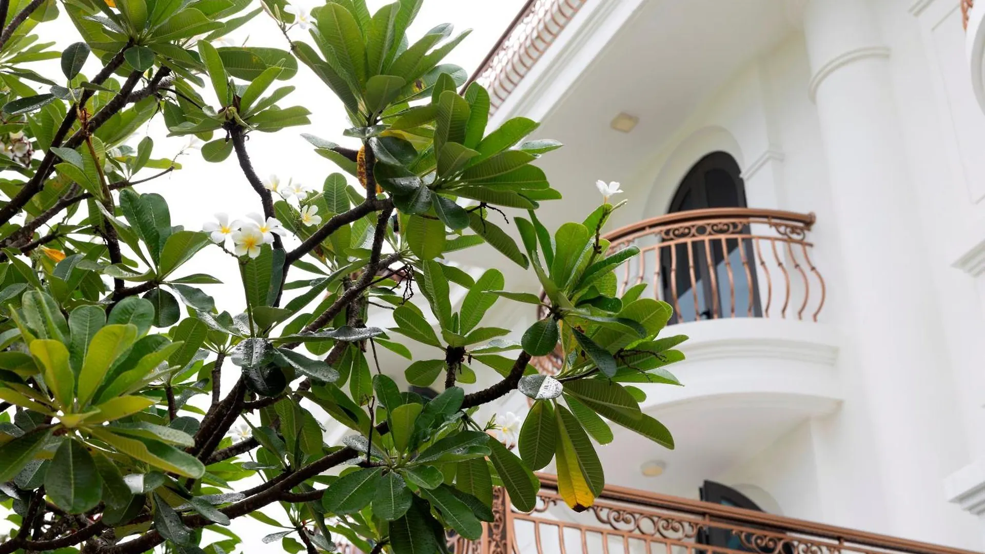 Monoi Hotel Nha Trang 5*,